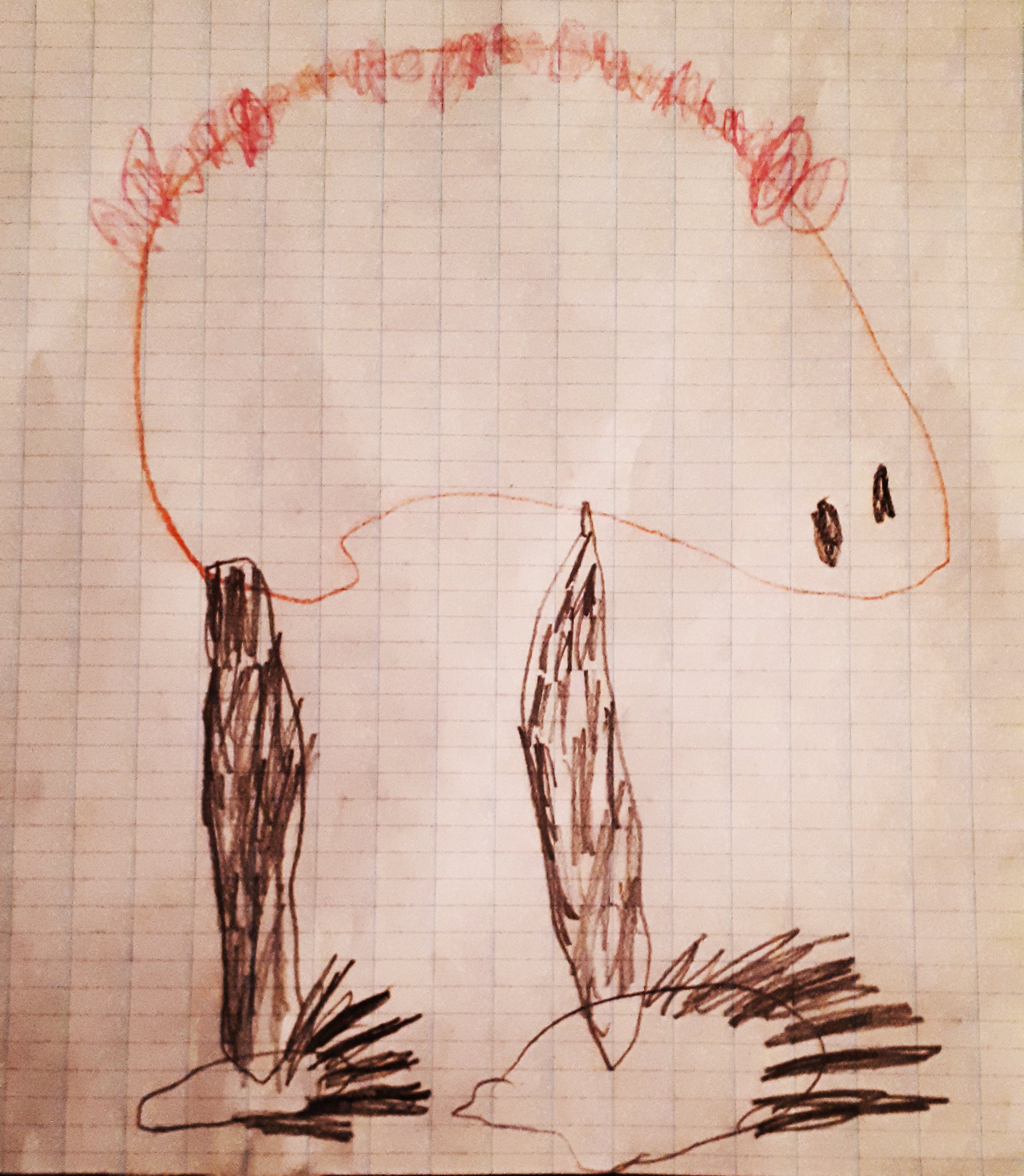 Anteater | Drawing by kid, 5 years old